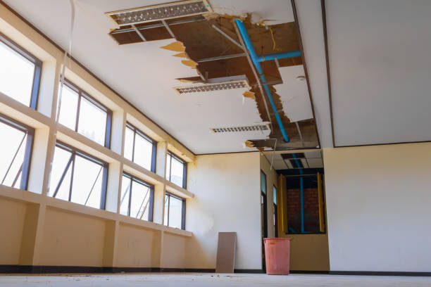 Best Emergency water damage restoration  in Red Lake, MN
