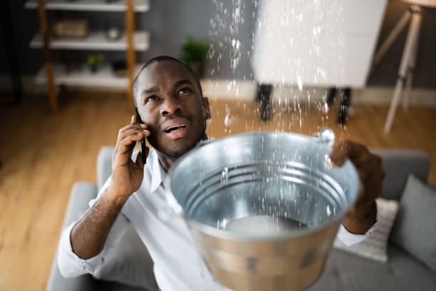 Best Commercial water damage restoration  in Red Lake, MN