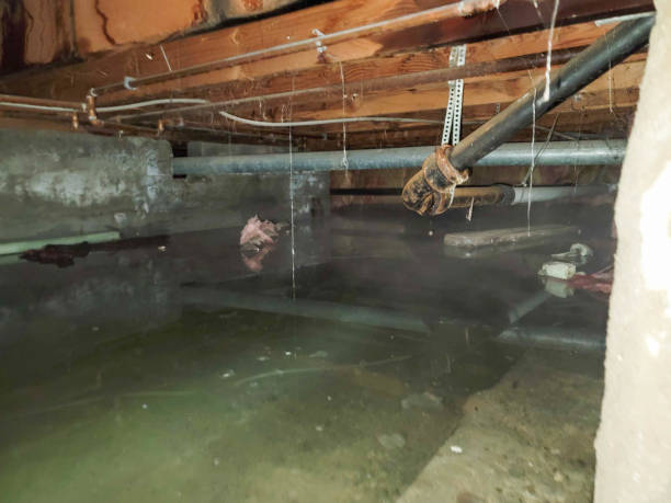 Best 24-hour water damage restoration  in Red Lake, MN