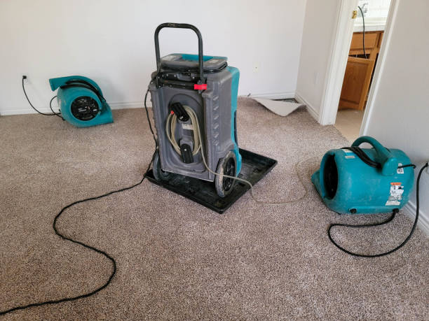 Best Flood damage cleanup  in Red Lake, MN