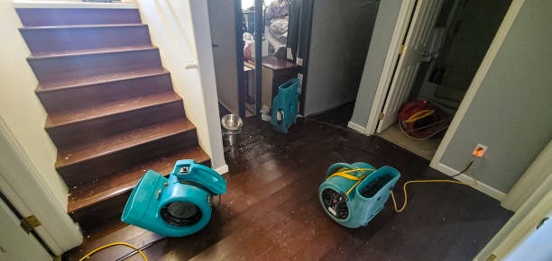 Best Basement water damage restoration  in Red Lake, MN