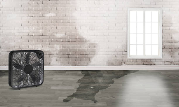Best Sewage cleanup and water damage restoration  in Red Lake, MN