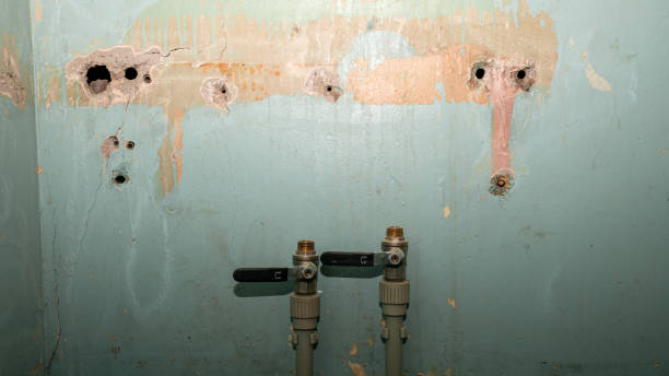 Best Water damage restoration insurance claims  in Red Lake, MN