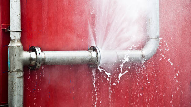 Best Water damage contractors near me  in Red Lake, MN